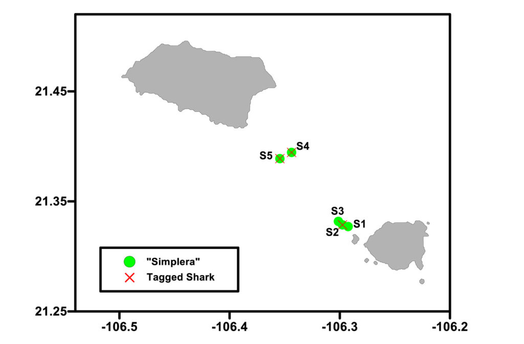 Figure 4. Map of placing of the “simpleras” and the captured shark. Green spots are “simplera” locations; red X means the place where the shark were captured and tagged.